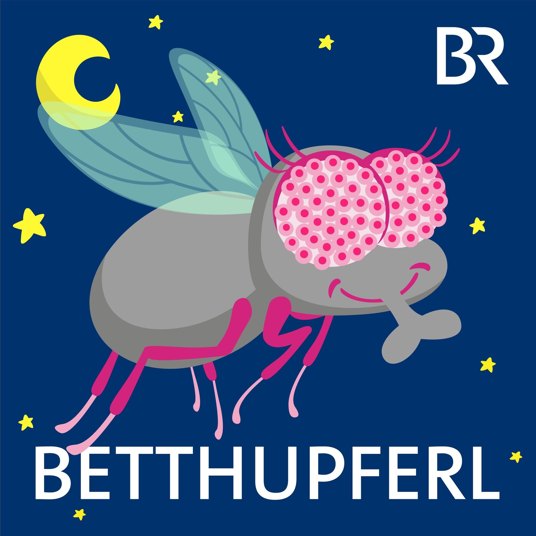 Christine, die schwäbische Stubenfliege: Moiadibbl | Eine Gute-Nacht-Geschichte ab 5 Jahren / Mundart Schwaben
