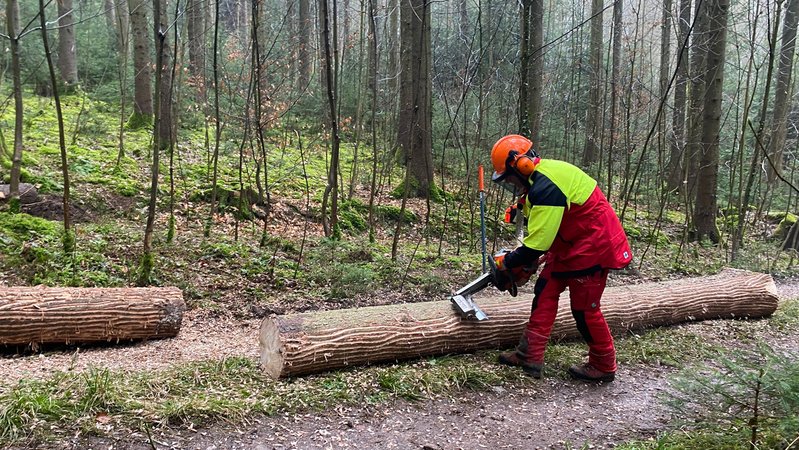 Mann mit Säge am Arbeiten. | Bild: BR/Daniela Olivares Mann mit Säge am Arbeiten.