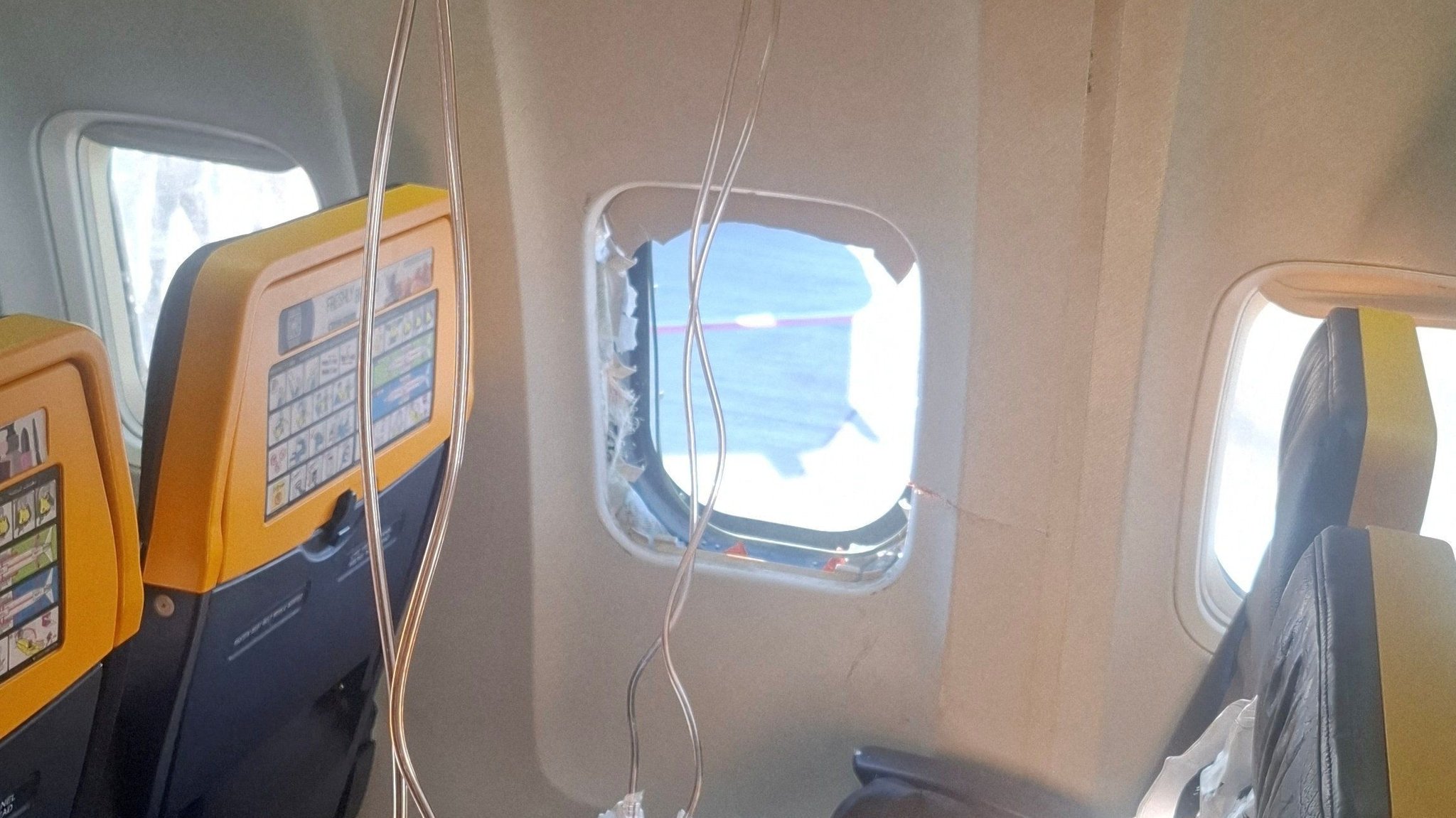 Nach Ryanair-Zwischenfall: Behörde prüft Vogelschlag