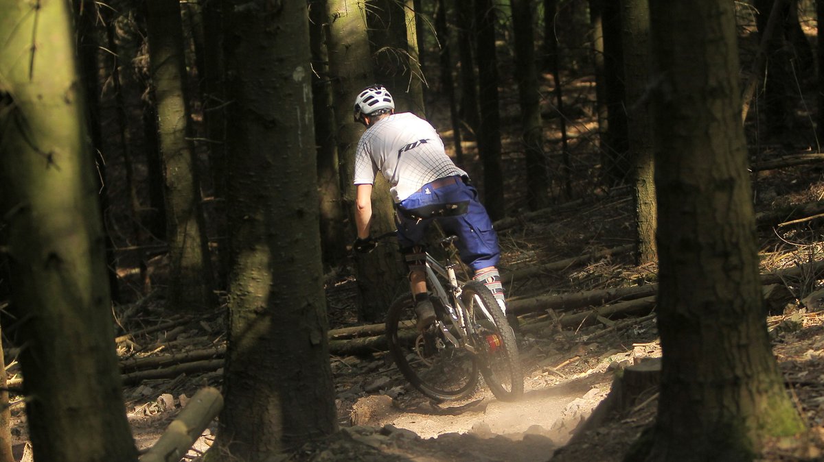 Ein Mountainbiker fährt durch einen Wald.