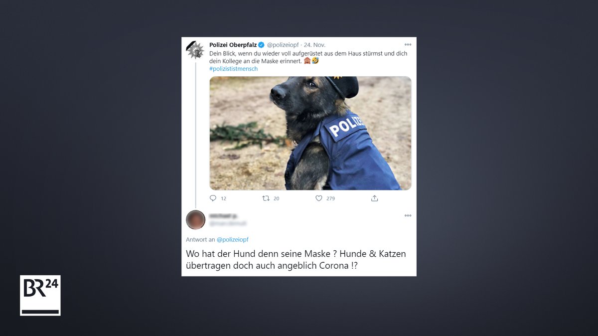 Auf einem Foto in einem Twitter-Account schaut ein Polizeihund in die Kamera - ein Nutzer fragt, wo er denn seine Maske habe.