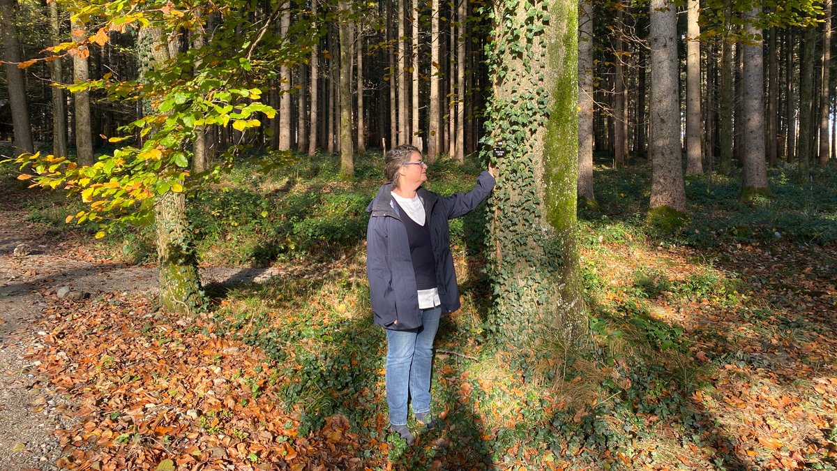 Sabine Dietrich berührt einen Baum