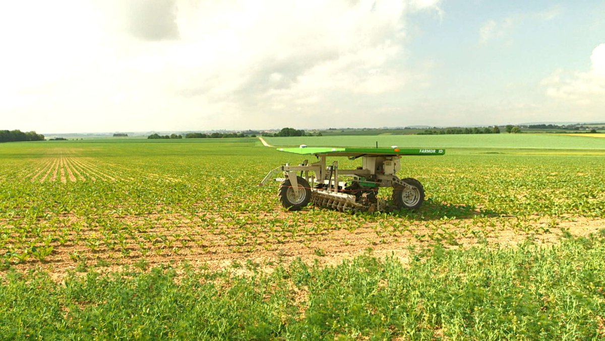 Farmroboter auf dem Zuckerrübenacker von Anton Maier