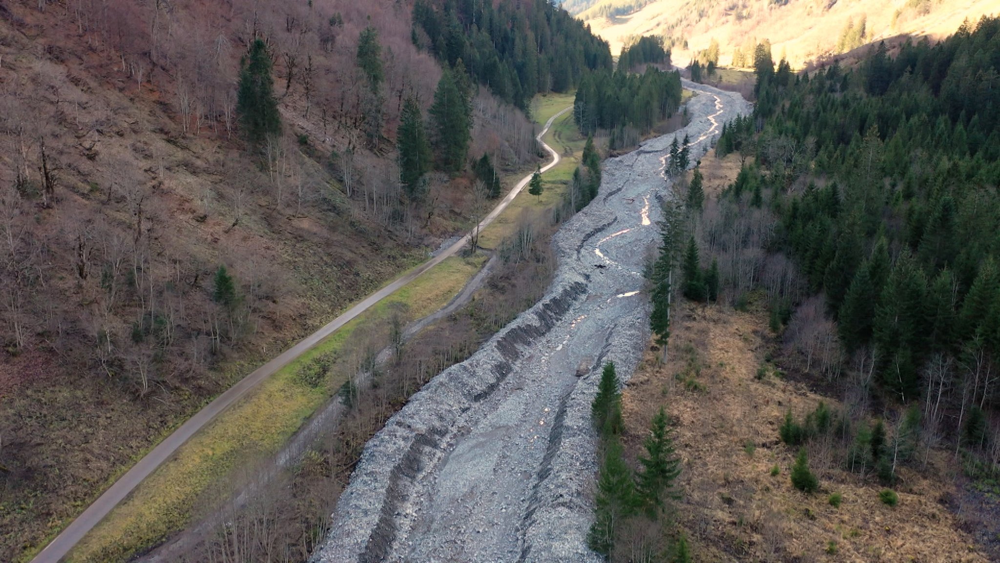 Naturzerstörung im Schutzgebiet