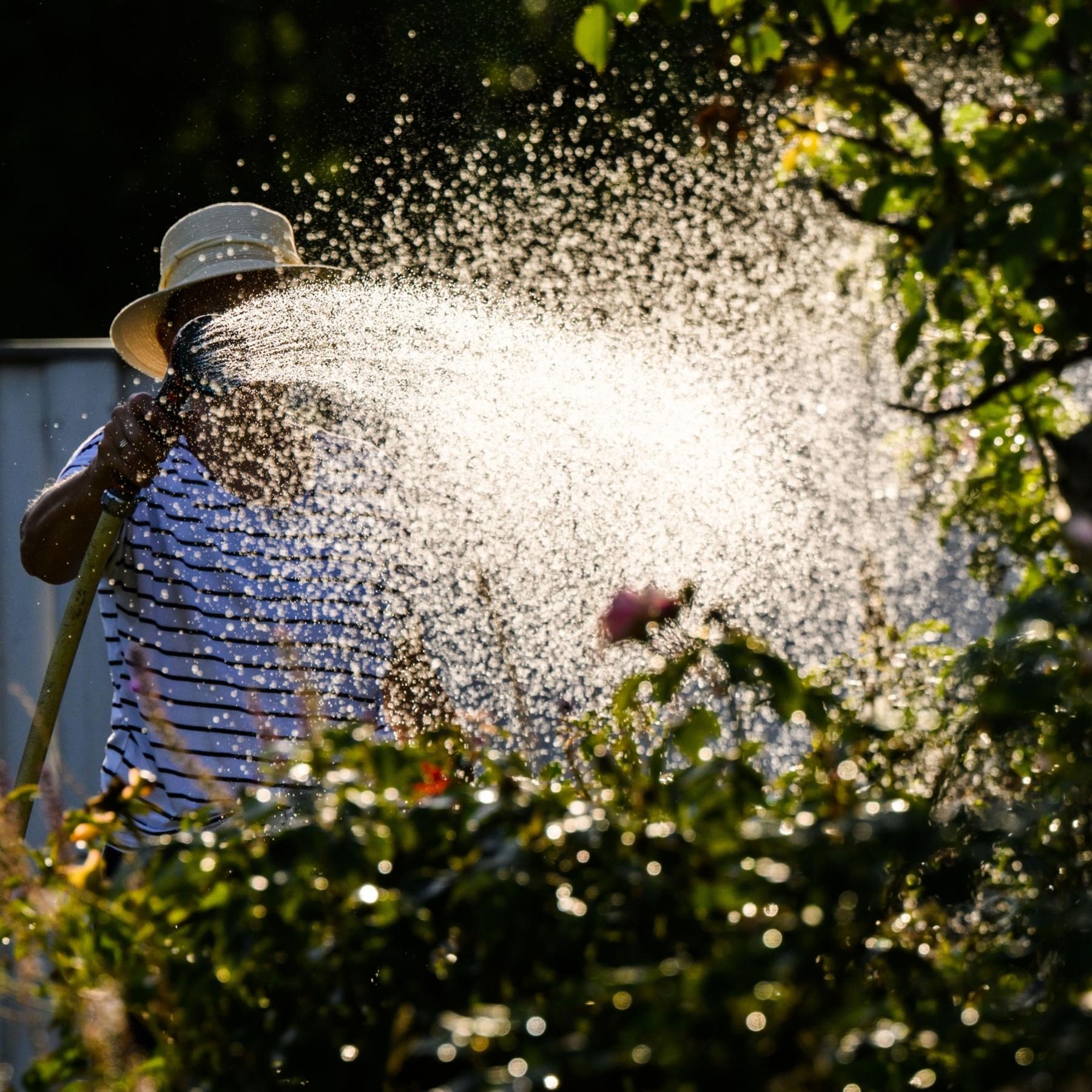 IQ - Wissenschaft und Forschung