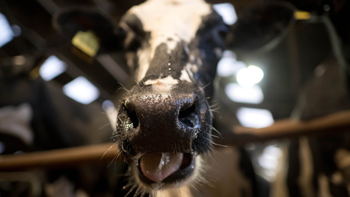 Psychische Überlastung bei Landwirten: Was tun?