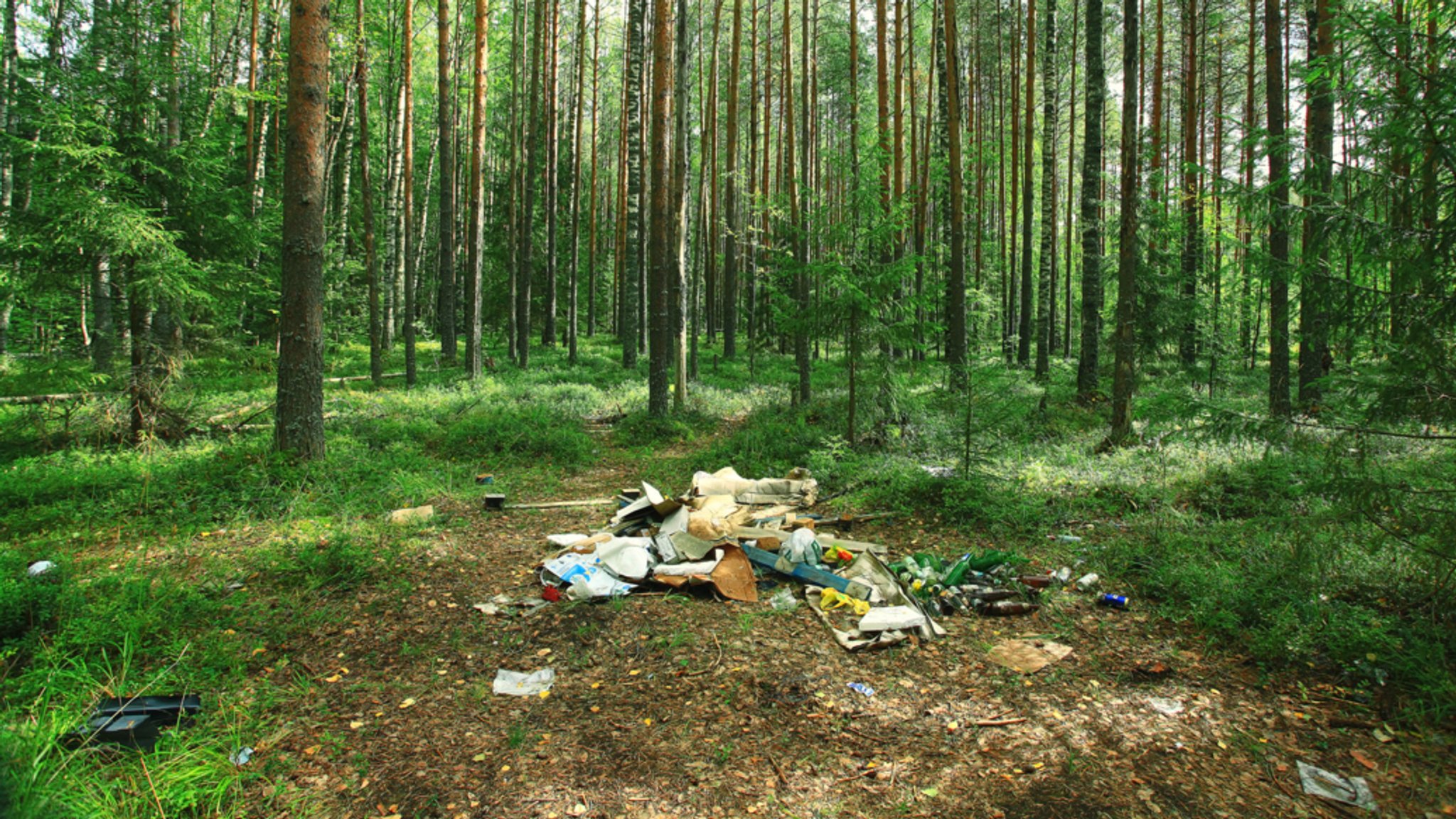 (Symbolbild) Plastikmüllhaufen im Wald | Bild: stock.adobe.com/kichigin19 (Symbolbild) Plastikmüllhaufen im Wald