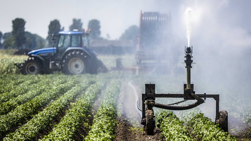 Ein Bauer bewässert sein Land. | Bild: picture alliance / ANP | - Ein Bauer bewässert sein Land.