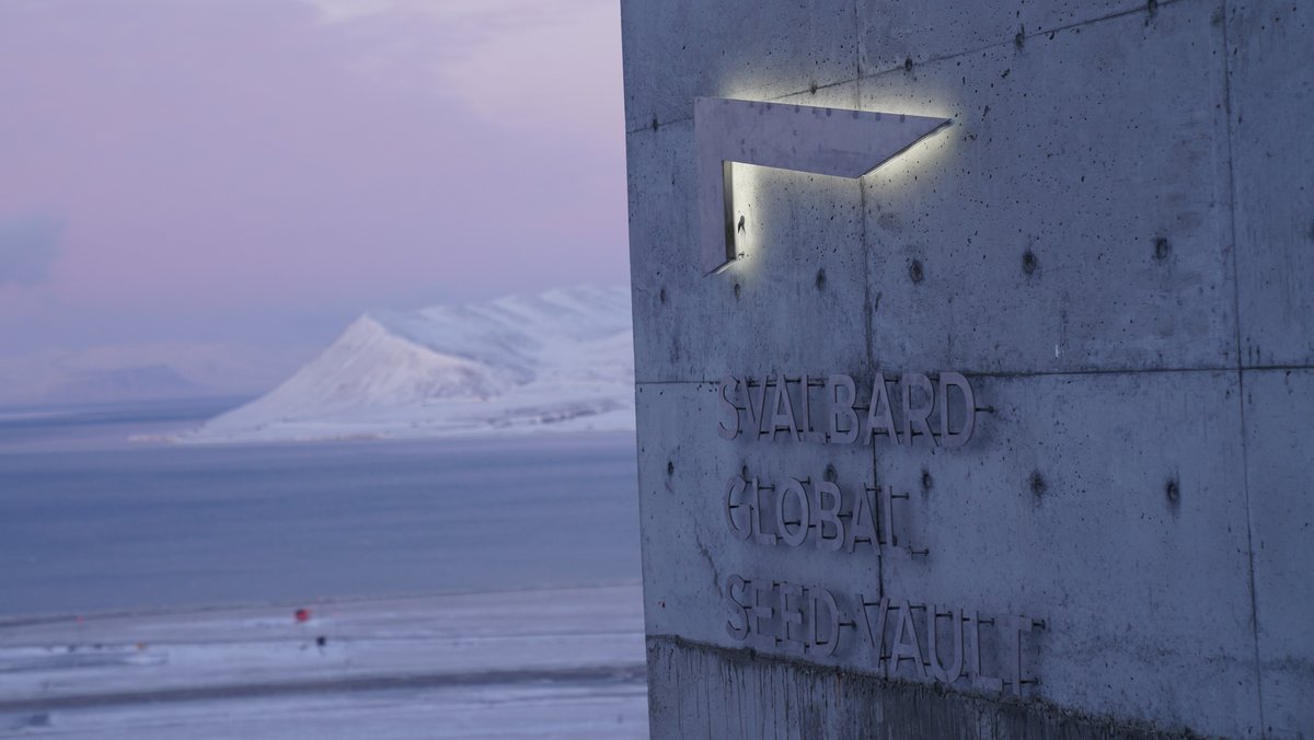 Der Saatgut-Bunker "Svalbard Global Seed Vault" liegt auf halber Strecke zwischen dem norwegischen Festland und dem Nordpol.