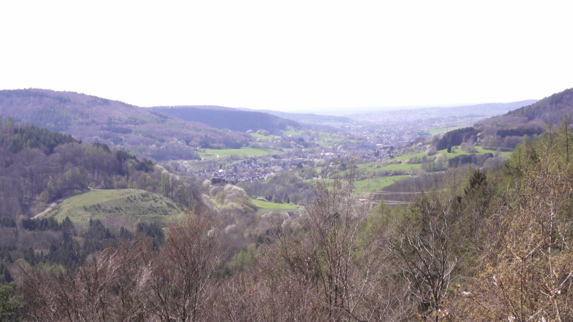 Luftaufnhame eines Waldstückes im Spessart. 