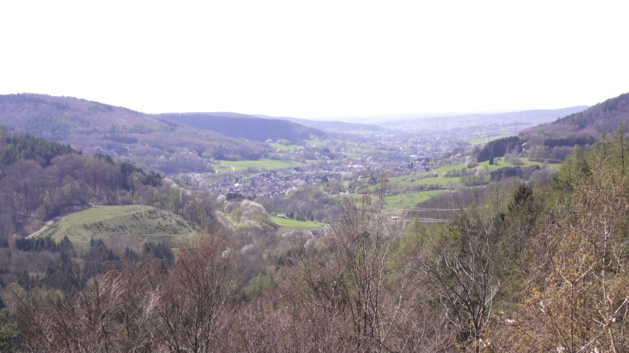 Luftaufnhame eines Waldstückes im Spessart. 