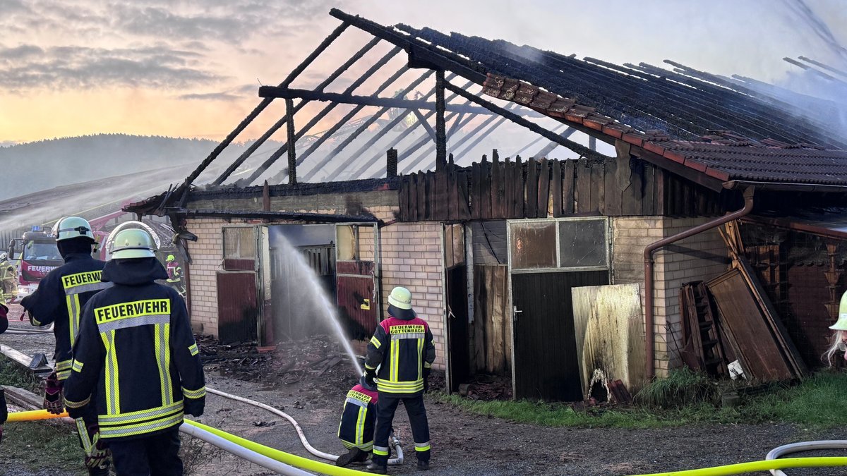 16 Pferde sterben bei Feuer in Reitstall: Hoher Sachschaden