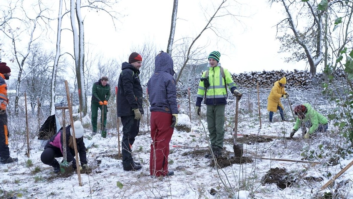 Bei Minusgraden forsten die Freiwilligen einen Wald in Uffenheim auf.