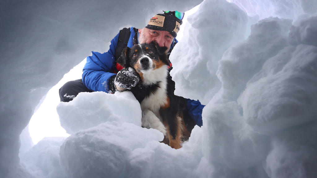 Hund gräbt nach Verschütteten im Schnee