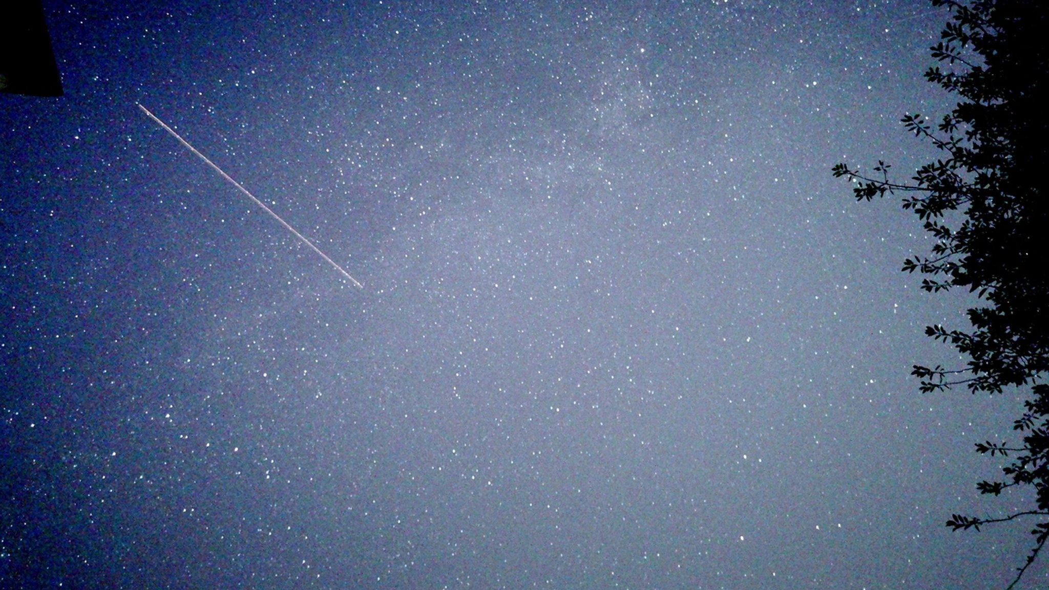 Eine Sternschnuppe am Sternenhimmel, fotografiert 2021 von Sonja Hartmann