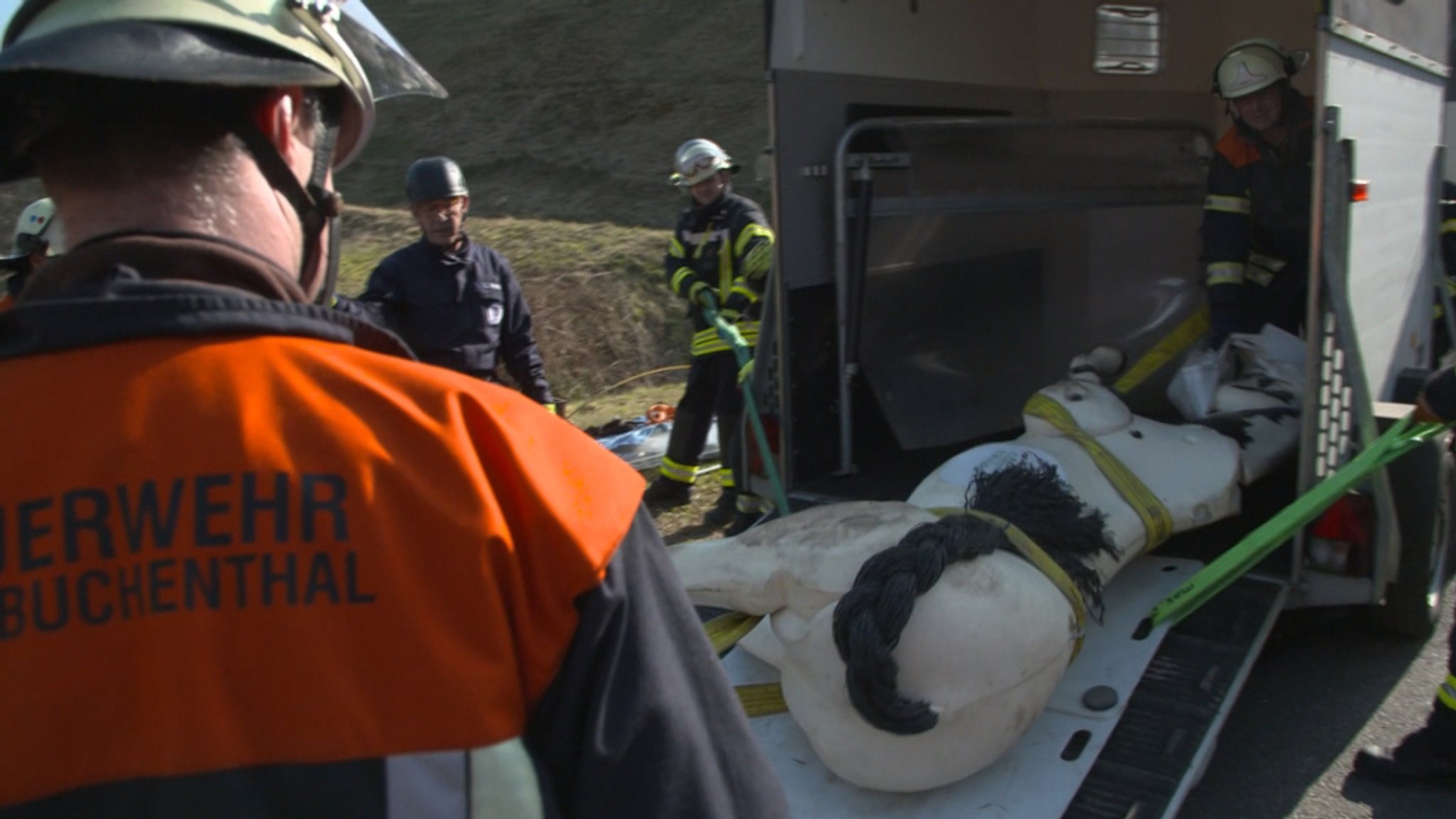 Feuerwehr Waldaschaff trainiert Rettung von Pferden und Kühen