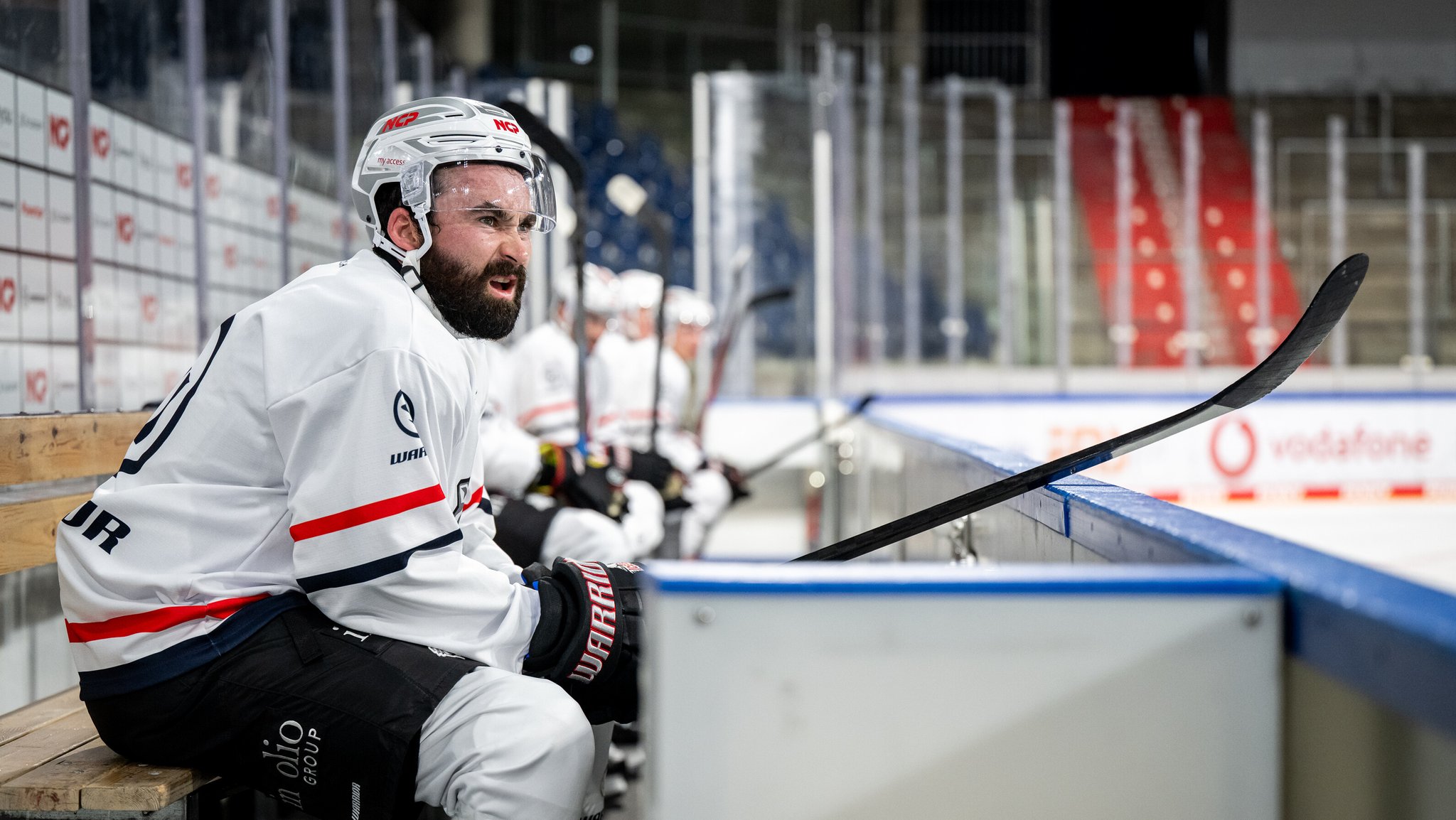 Nürnberg Ice Tigers gehen ohne Hauptsponsor in die Saison