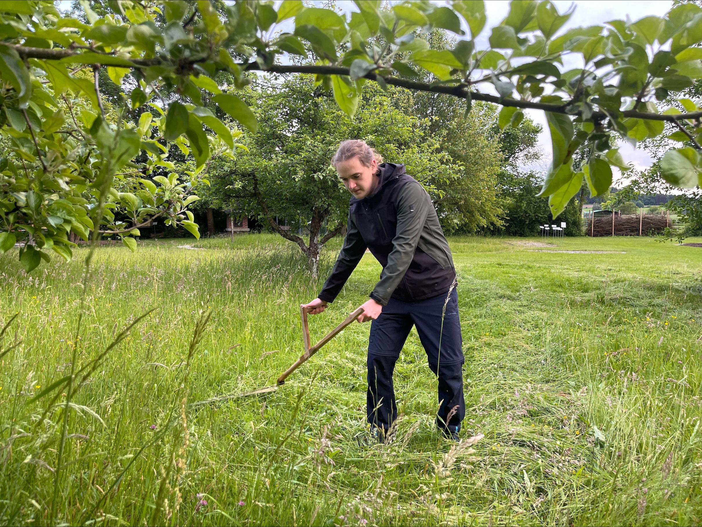 Mit der Sense die Wiese mähen, das will erst mal gelernt sein. 