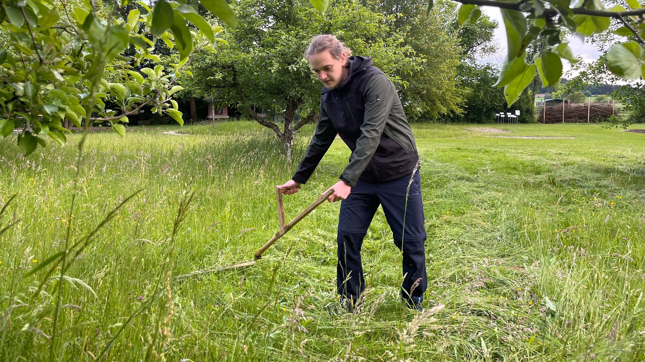 Mit der Sense die Wiese mähen, das will erst mal gelernt sein. 