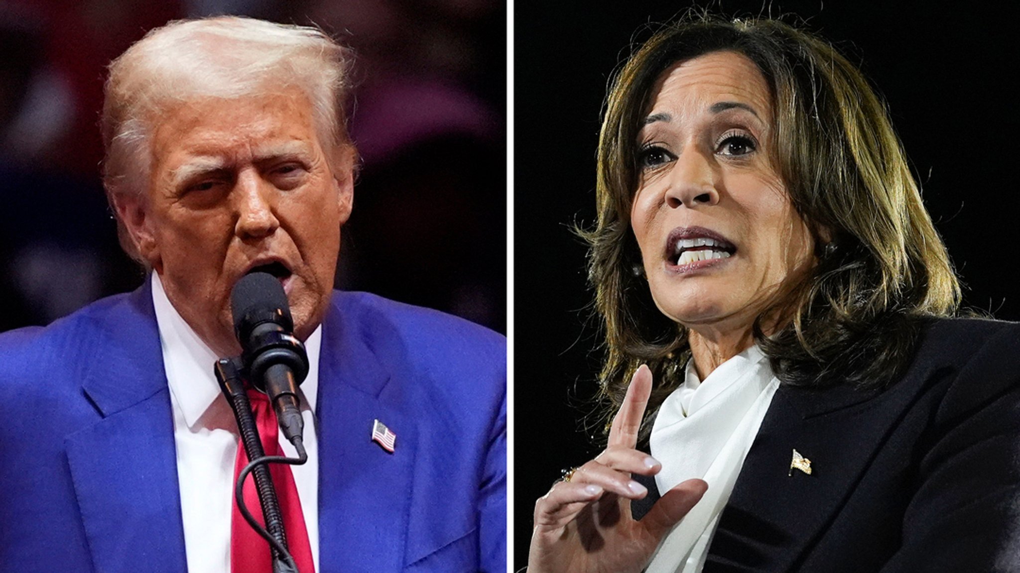 Trump oder Harris? Experte zu Folgen für Deutschland und Bayern