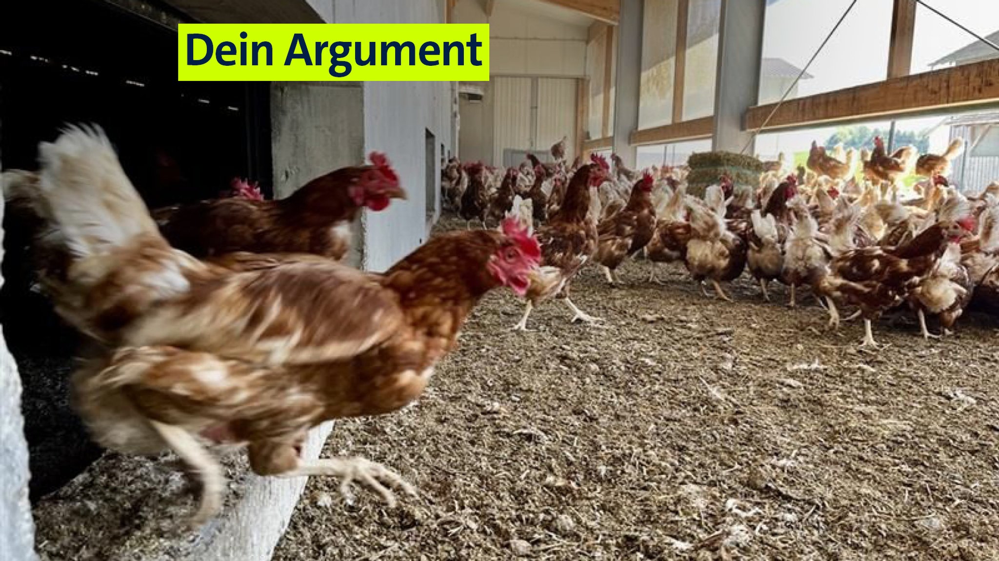 Kommen resistente Keime aus der Tierhaltung? 