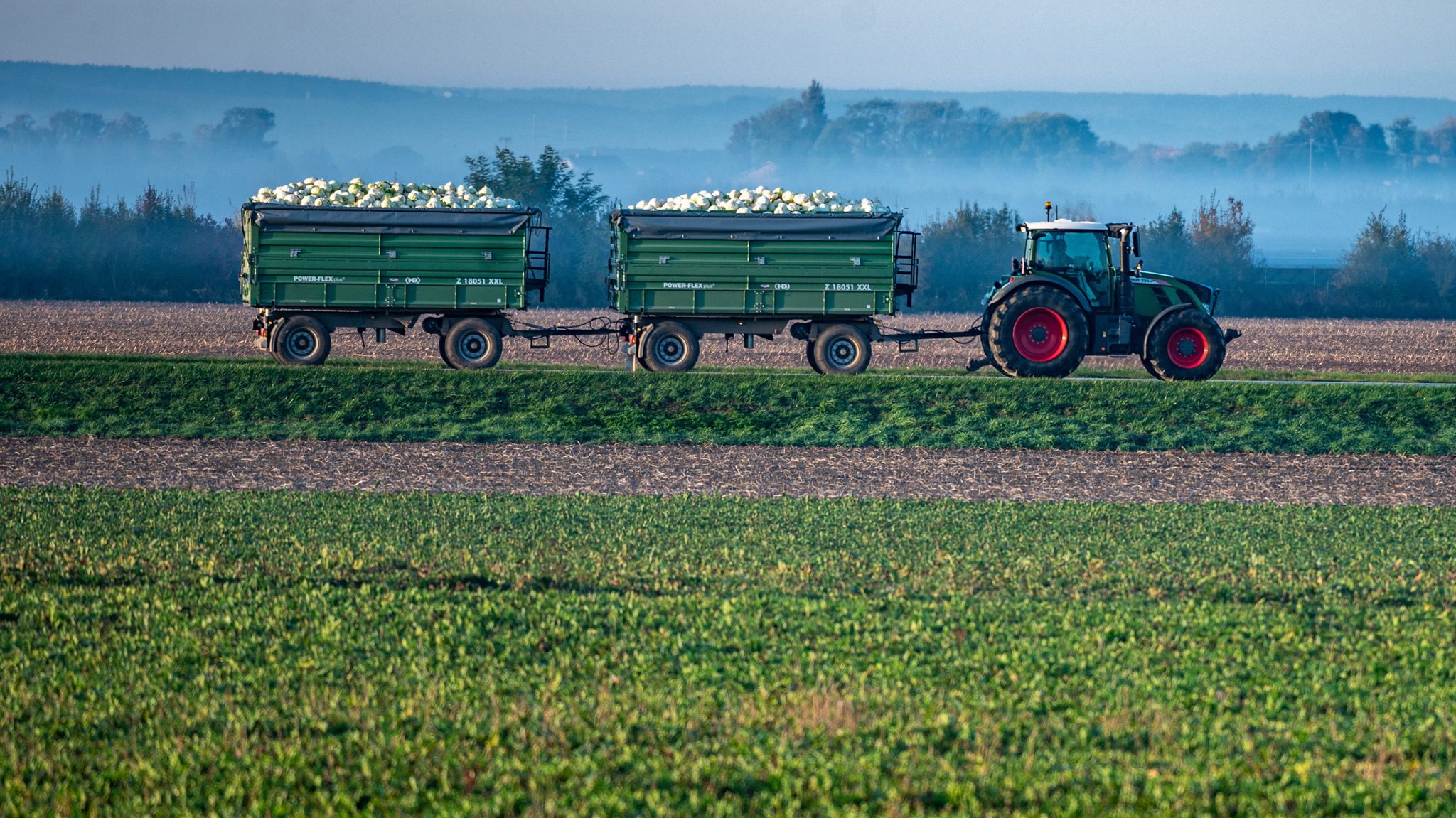 Ein Schlepper fährt mit Ernte beladenen Anhängern zwischen Äckern. 