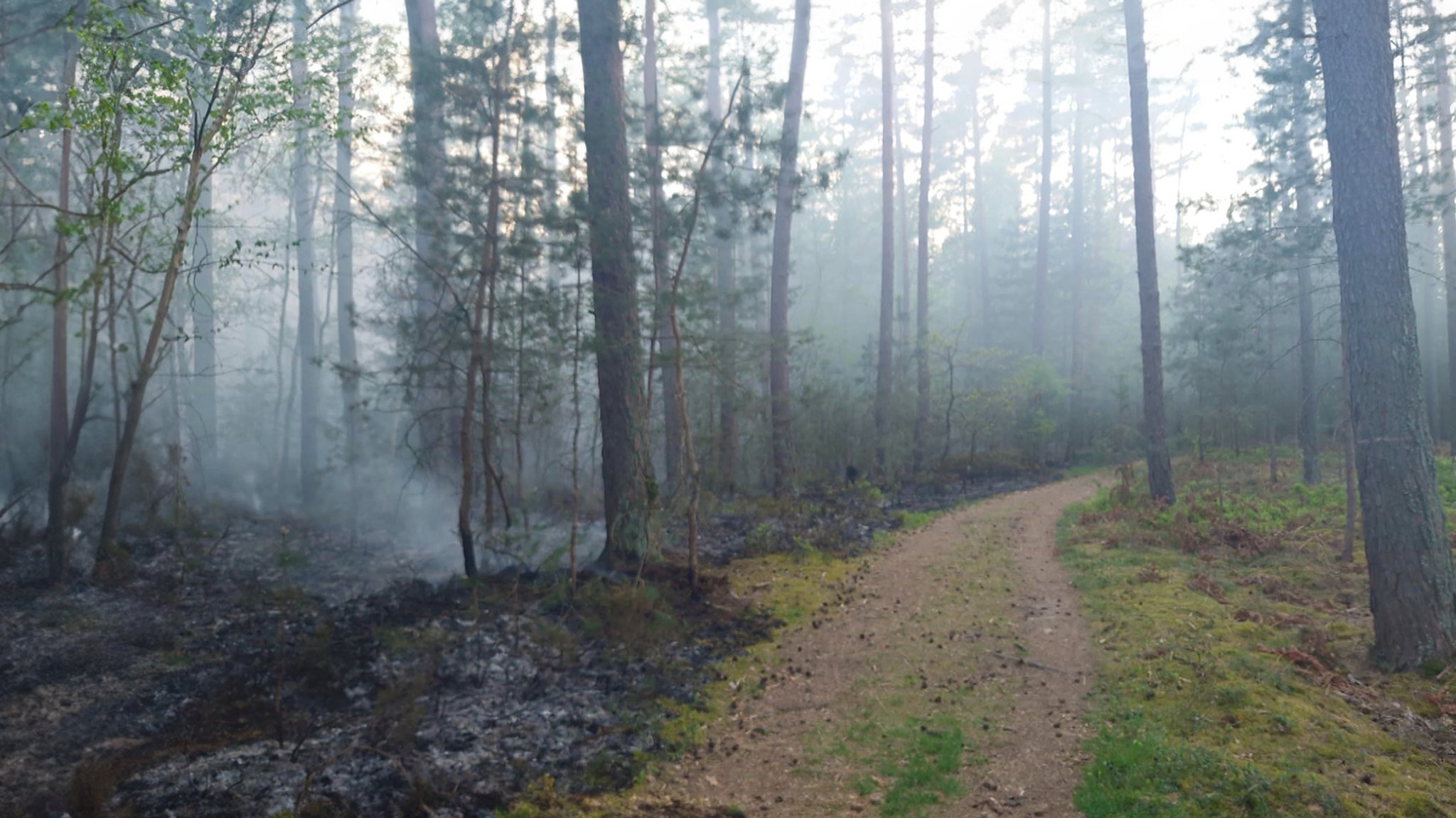 Großeinsatz in Erlangen: Waldbrand auf 30.000 Quadratmetern