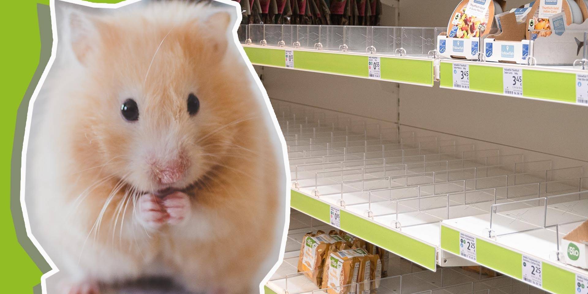 Hamsterkaufe Wegen Corona So Reagiert Das Netz Bayern 3