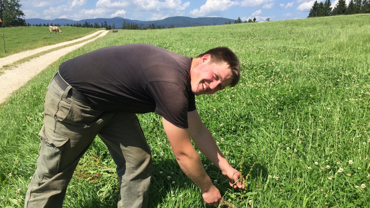 Michael Kraus, ausgebildeter Landwirtschaftsmeister, vom "Kraushof" auf einer seiner Kuhweiden