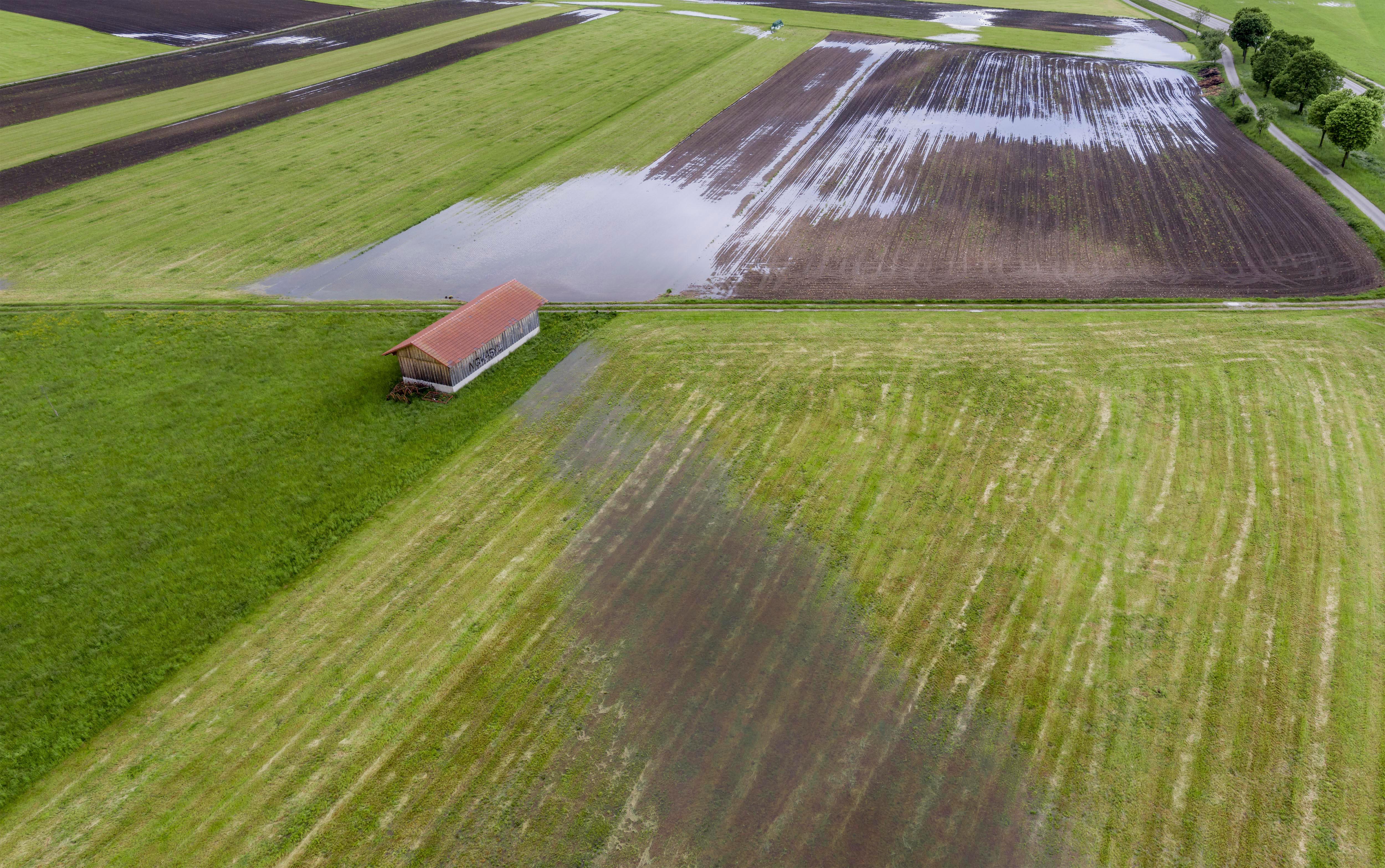 Dauerregen sorgte im Winter für hohe Grundwasserstände