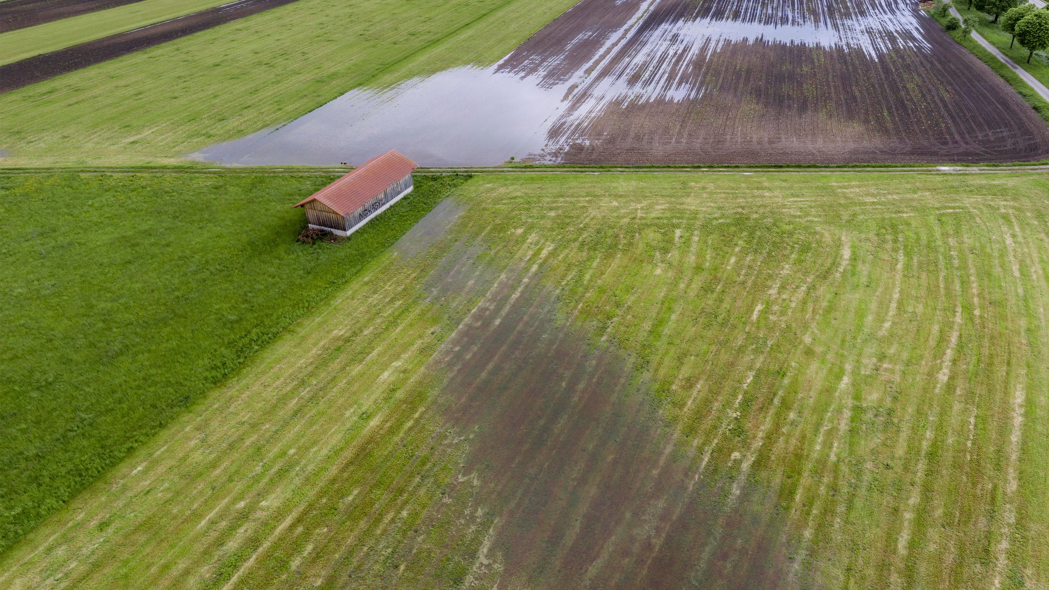 Dauerregen sorgte im Winter für hohe Grundwasserstände