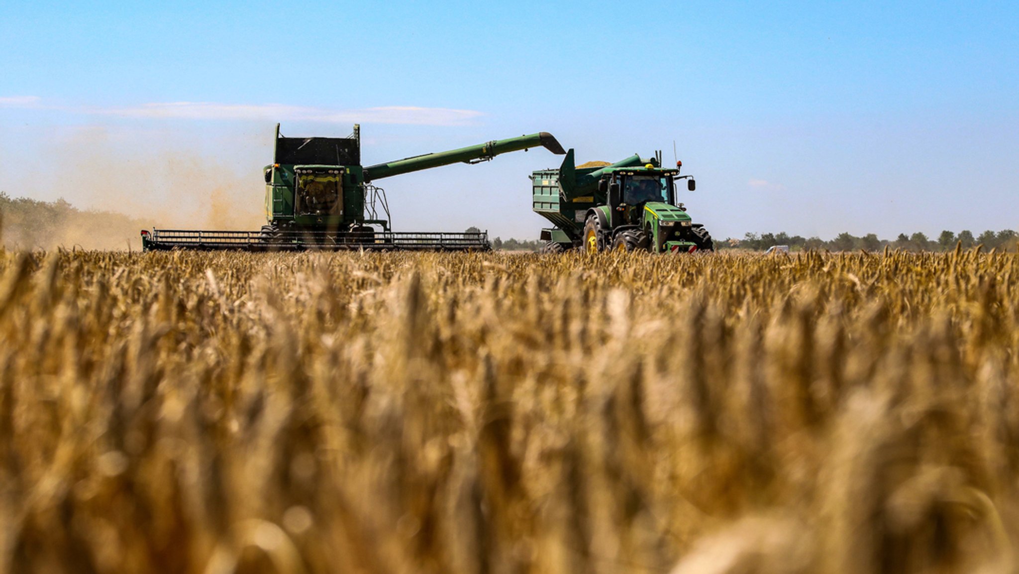 Ein Mähdrescher erntete am 22. Juni Getreide auf einem Feld in der Region Odessa im Süden der Ukraine.