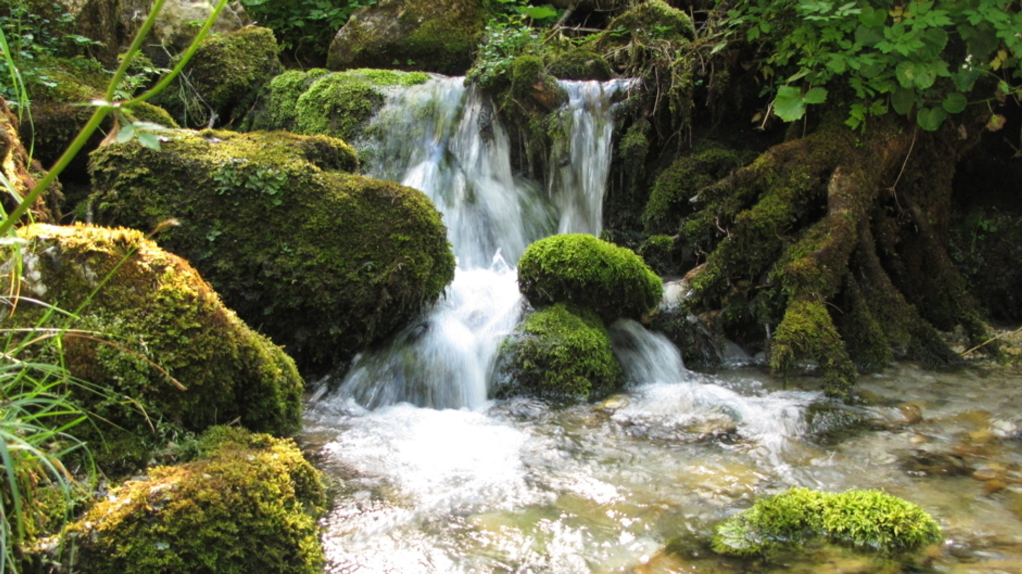 Ein Bach mit einem kleinen Wasserfall (Symbolbild)