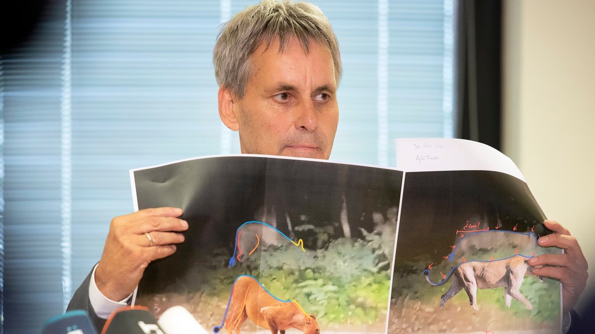 Michael Grubert (SPD), Bürgermeister von Kleinmachnow, erklärt anhand von Fotos, weshalb es sich bei dem gesuchten Tier um keine Löwin handelt. 