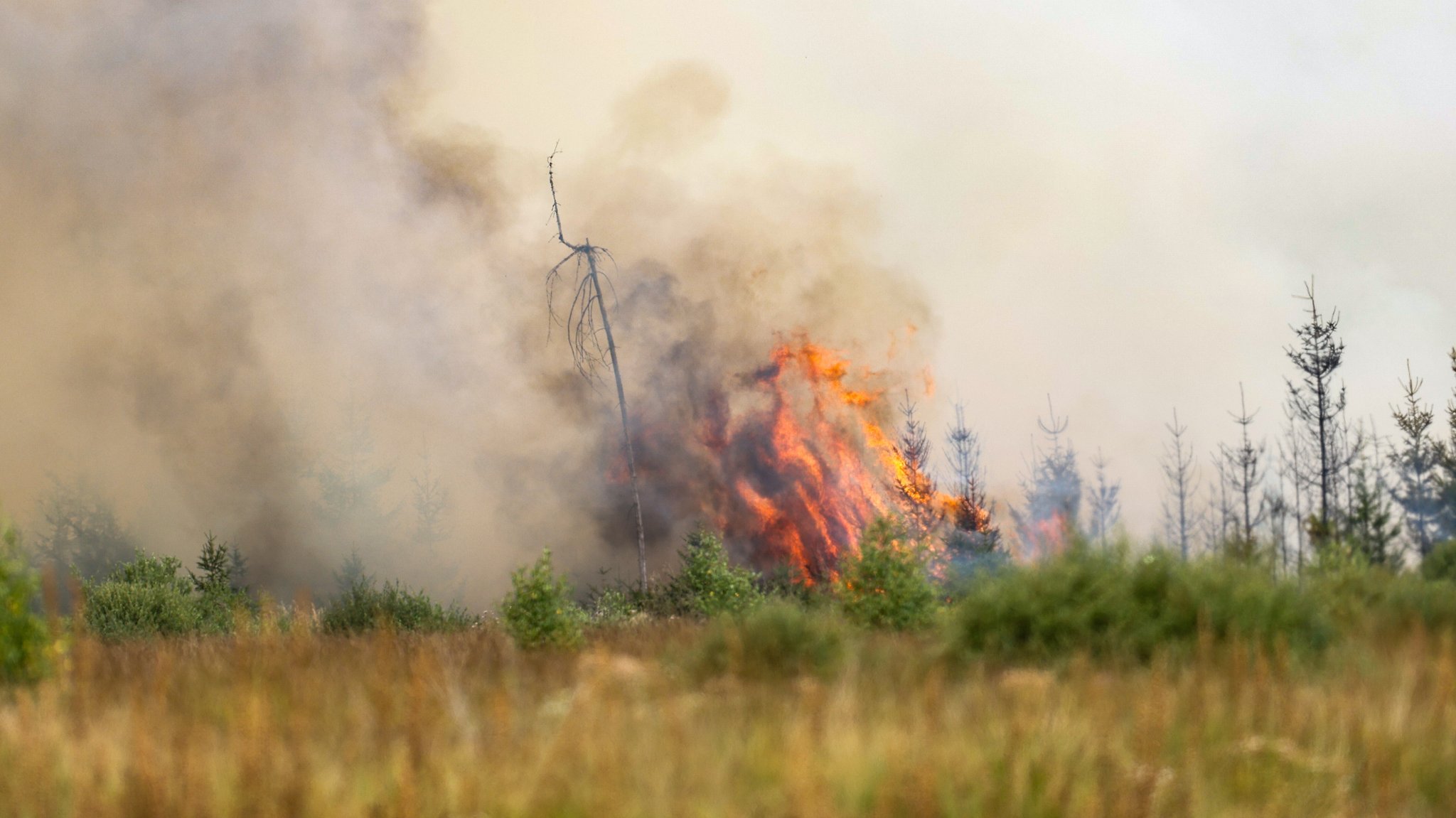Brand im belgischen Hochmoor Hohe Venn, Aufnahme vom 16.8.2026. Besteht ein solcher Brand über mehrere Jahre und ist im Winter nicht mehr sichtbar, sprechen Wissenschaftler auch von einem Zombiebrand.