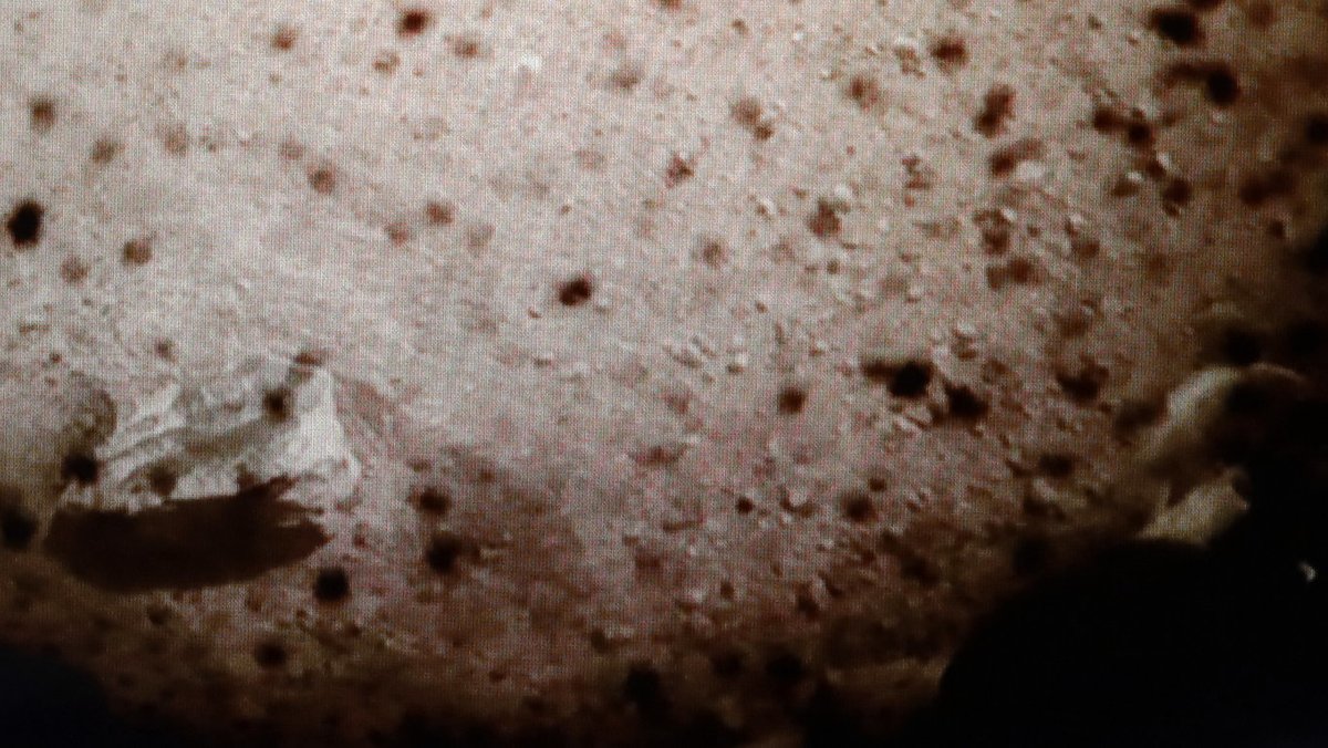 Grau in grau, aber schlau: Das erste "Insight"-Bild der NASA-Sonde vom Mars (Ausschnitt)