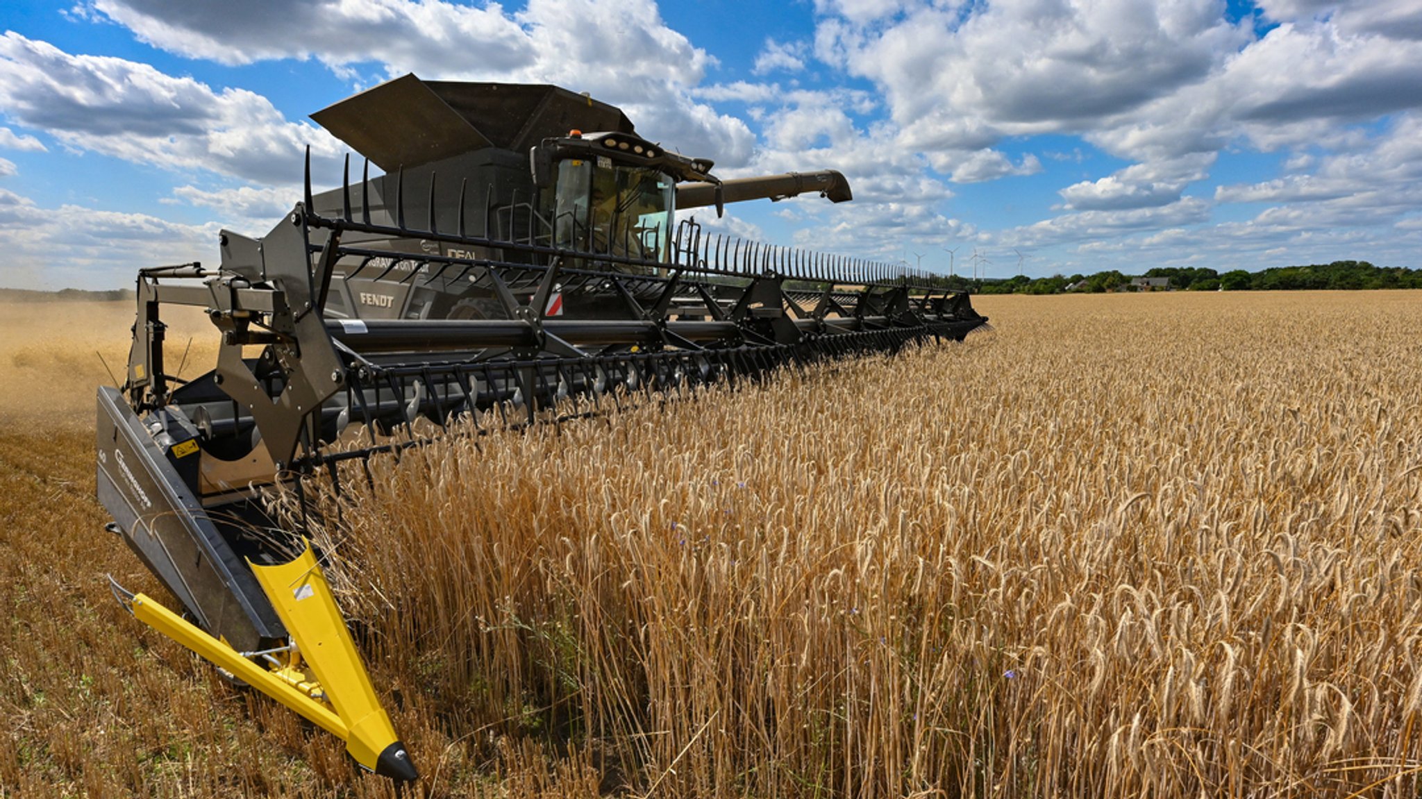 Warenterminbörsen: Die Handelsplattformen der Landwirtschaft