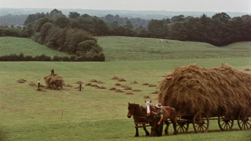 Hügeliges Weideland, von Baumreihen begrenzt, im Vordergrund ein übervoll mit Heu beladener Wagen, gezogen von zwei Pferden, die eine Bäuerin führt.