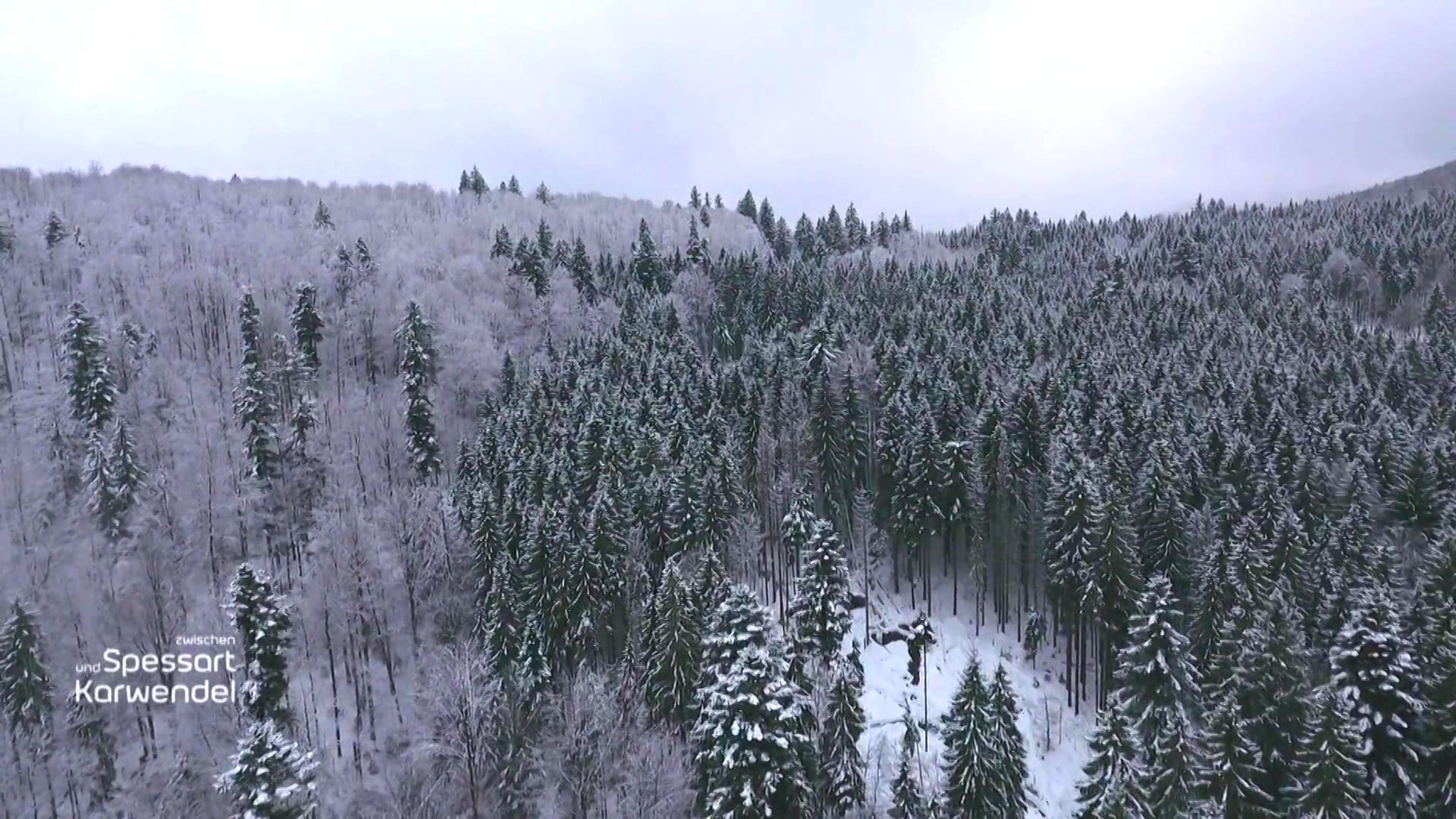 Natur Natur sein lassen?