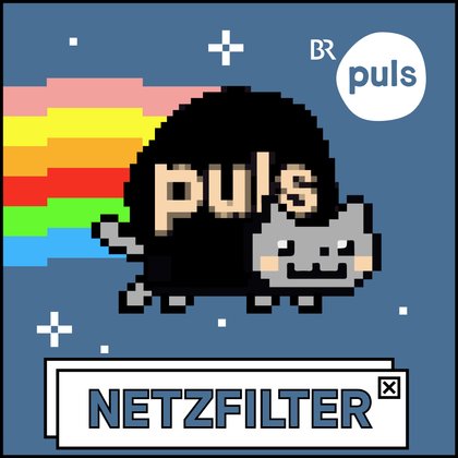 PodcastNetzfilterCover Podcast Cover