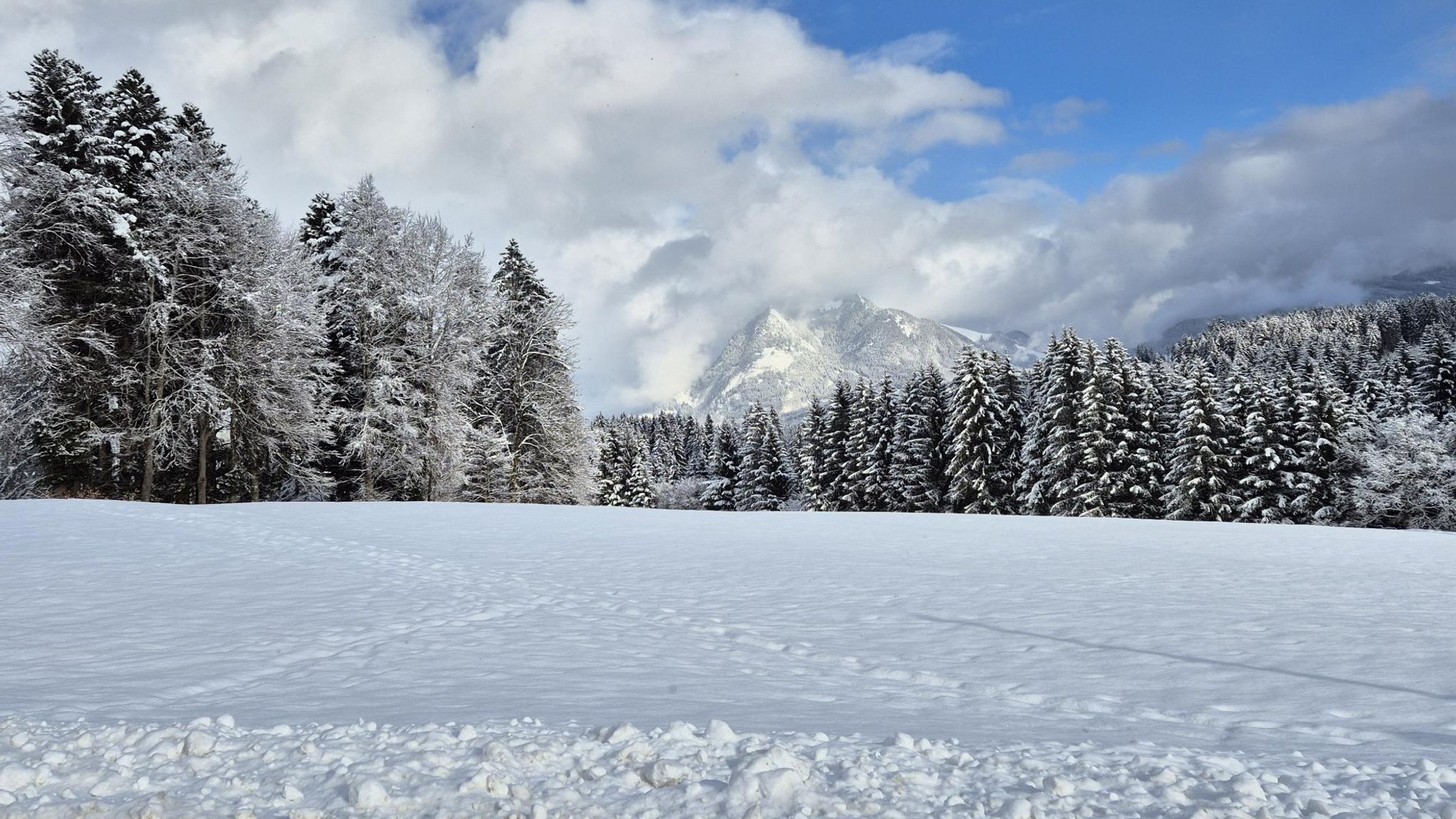 Schneebedeckte Wiese in Ofterschwang