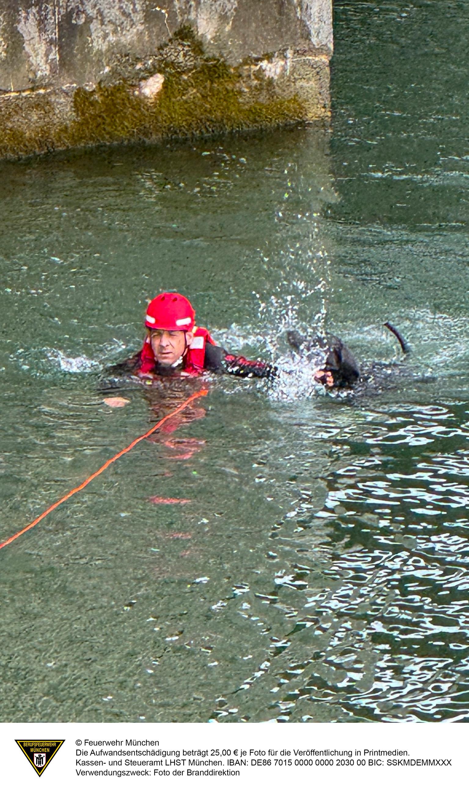 Dog falls from Isar River while chasing pigeons: Firefighters rescue dog ...
