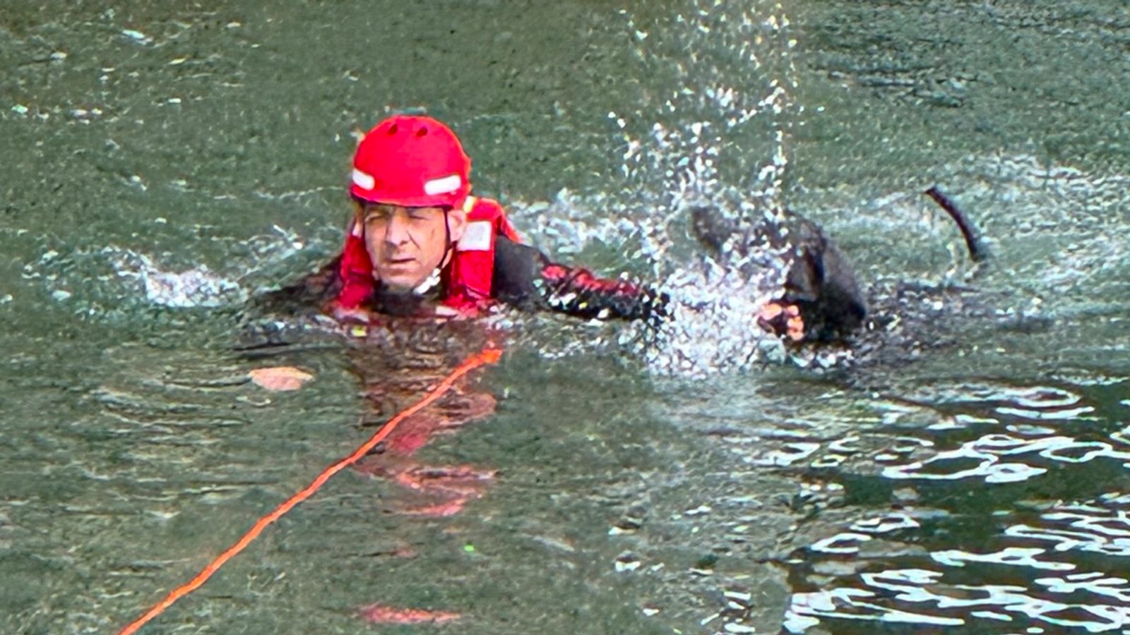 Dog falls from Isar River while chasing pigeons: Firefighters rescue dog ...