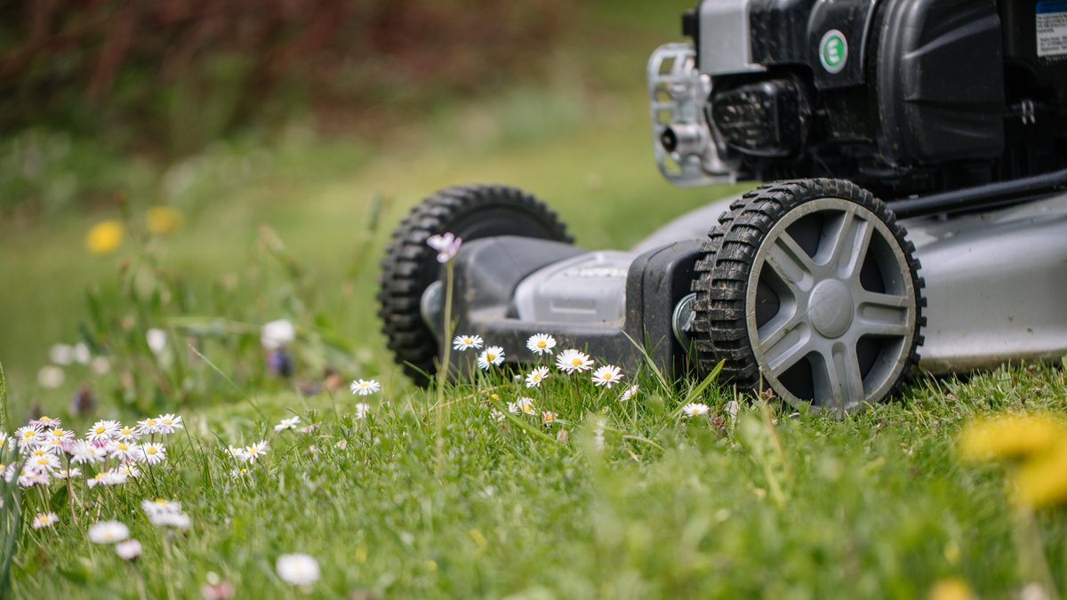 Ein Rasenmäher in einem Garten.