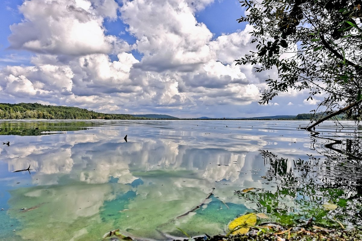 Wegen Blaualgen: Badewarnungen für mehrere Seen in Franken