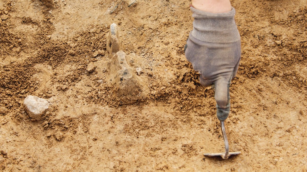 Die Hand eines Archäologen, der in einer Grube mit Steinresten den Boden untersucht (Symbolbild)