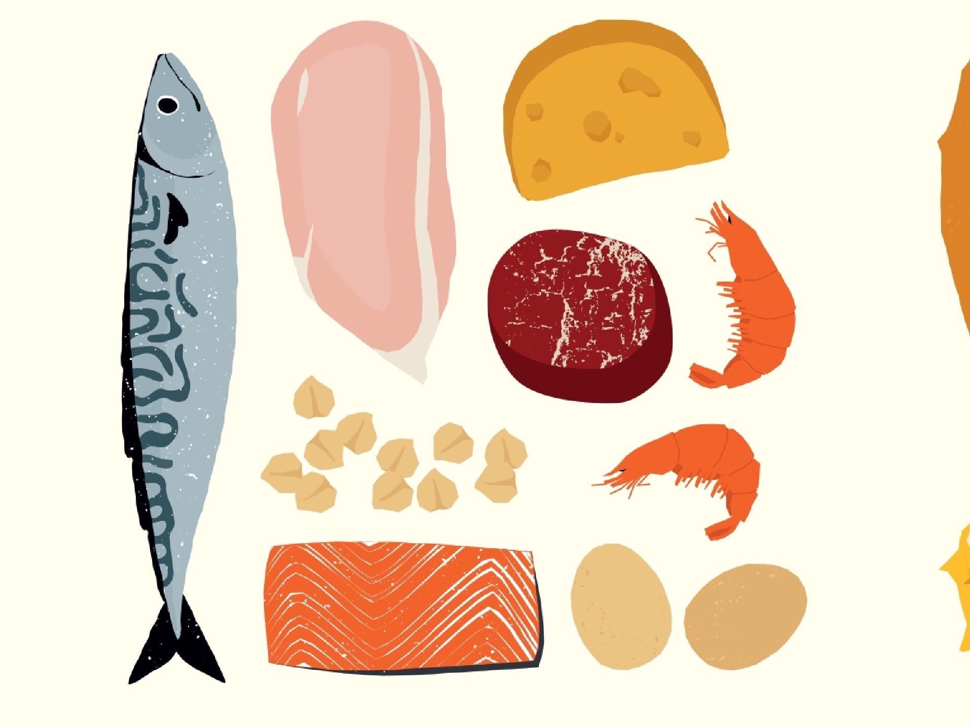 Eine Illustration von eiweißreichen Lebensmitteln