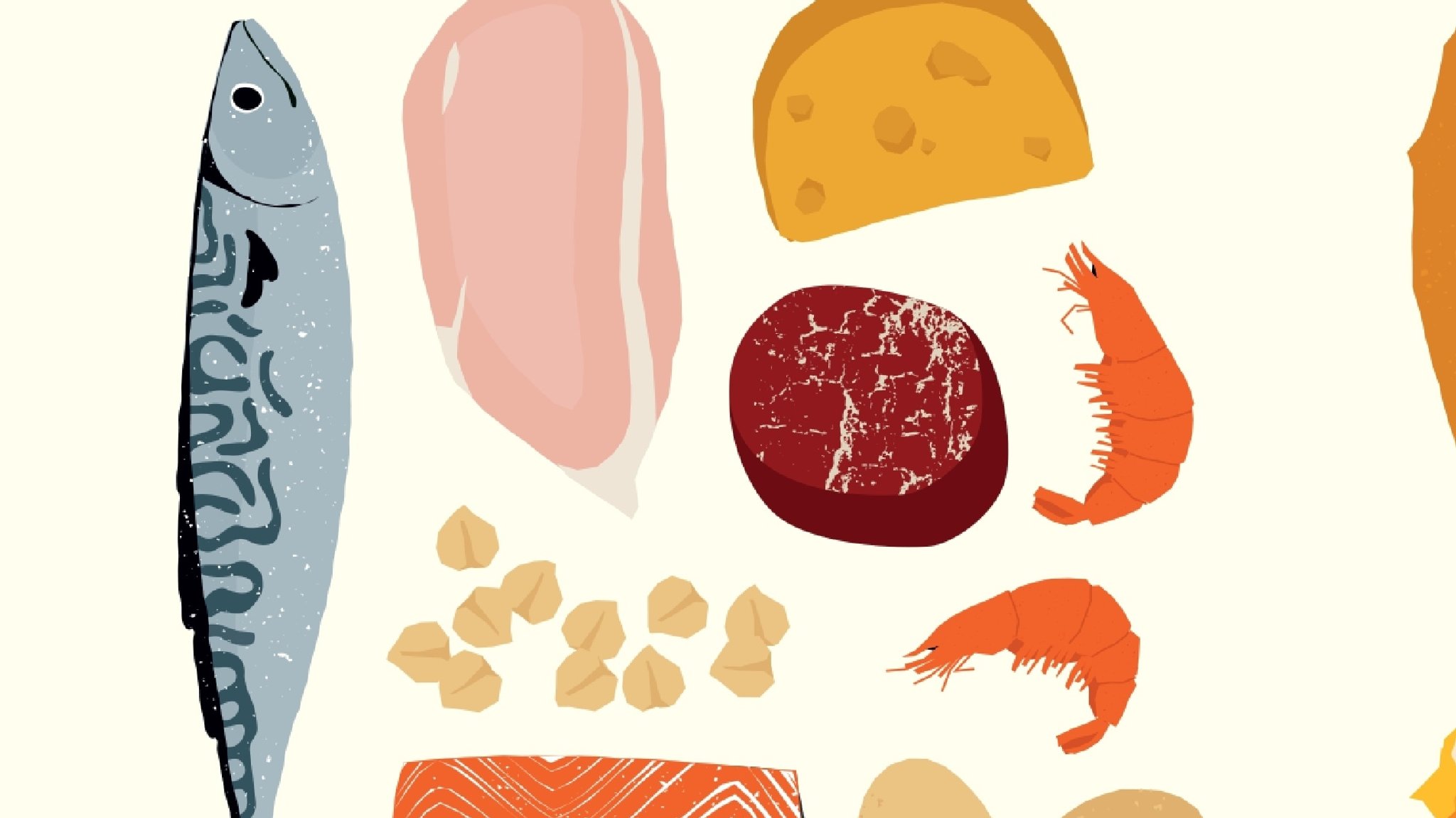 Eine Illustration von eiweißreichen Lebensmitteln