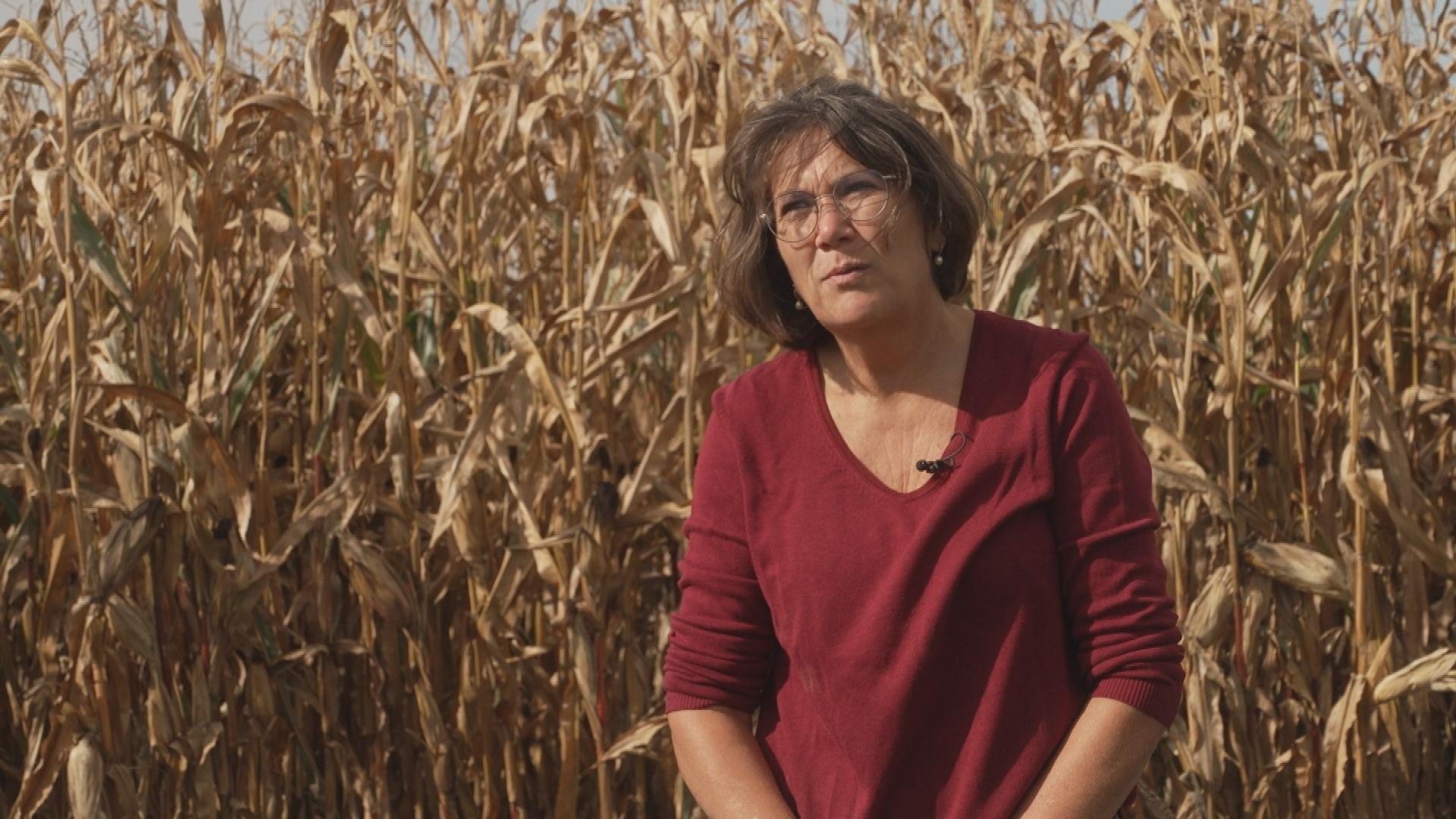 Die Münchner Kreisbäuerin Sonja Dirl auf ihrem Feld. Sie hat sich über die Agrarstudie der Katholischen Kirche geärgert.