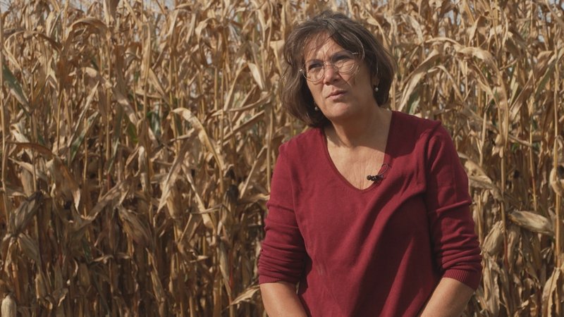 Die Münchner Kreisbäuerin Sonja Dirl auf ihrem Feld. Sie hat sich über die Agrarstudie der Katholischen Kirche geärgert. | Bild: BR Die Münchner Kreisbäuerin Sonja Dirl auf ihrem Feld. Sie hat sich über die Agrarstudie der Katholischen Kirche geärgert.